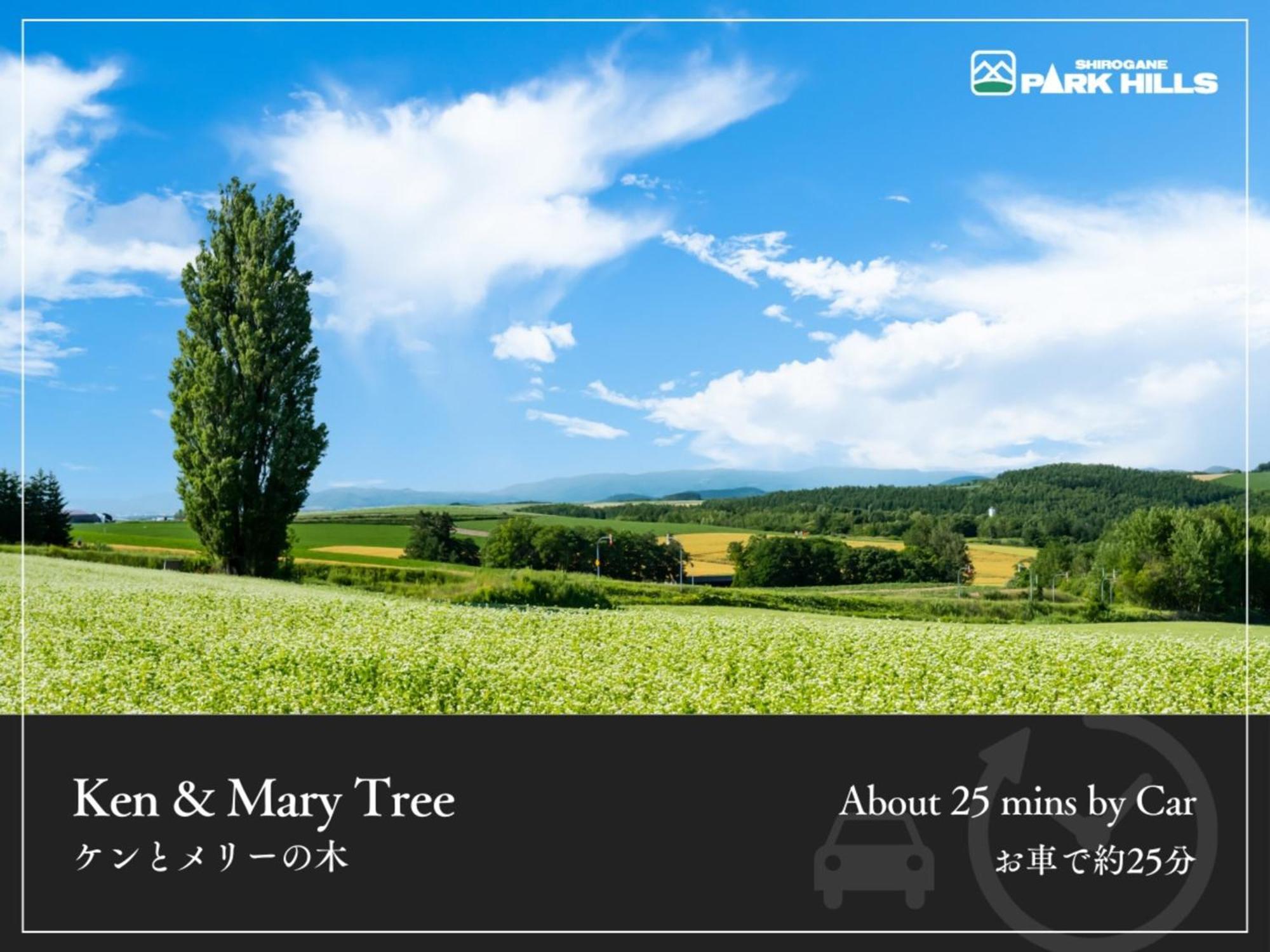 Biei Shirogane Onsen Hotel Park Hills Exterior foto